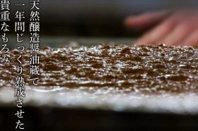 熟成したもろみを搾る
