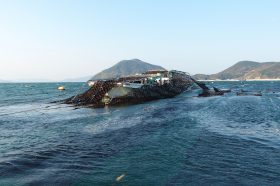 美味しい海苔が育つ瀬戸内海