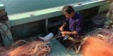 サワラ漁の解禁