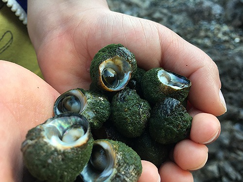 瀬戸内の海 小豆島せとうち感謝館