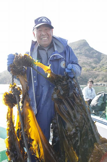 瀬戸内海産わかめがおいしい理由 小豆島せとうち感謝館