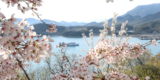 春を迎えた小豆島の景色